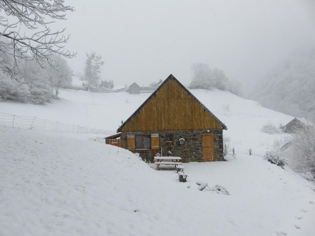 Le Bordarriben Sauna & Spa 4 Etoiles Gèdre Exterior foto